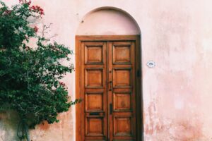 green plants beside brown wooden door