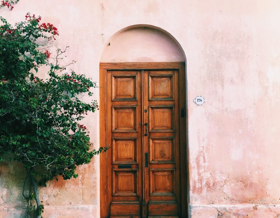 green plants beside brown wooden door